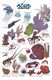 fish card